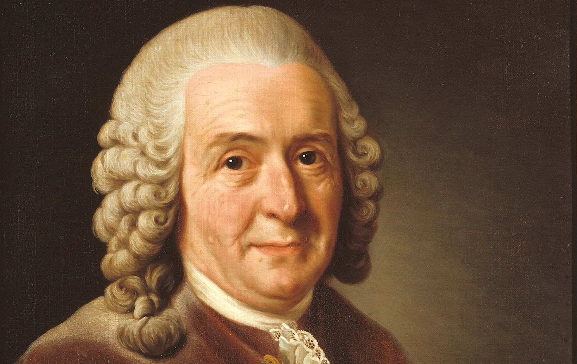 Carl Linnaeus (I)