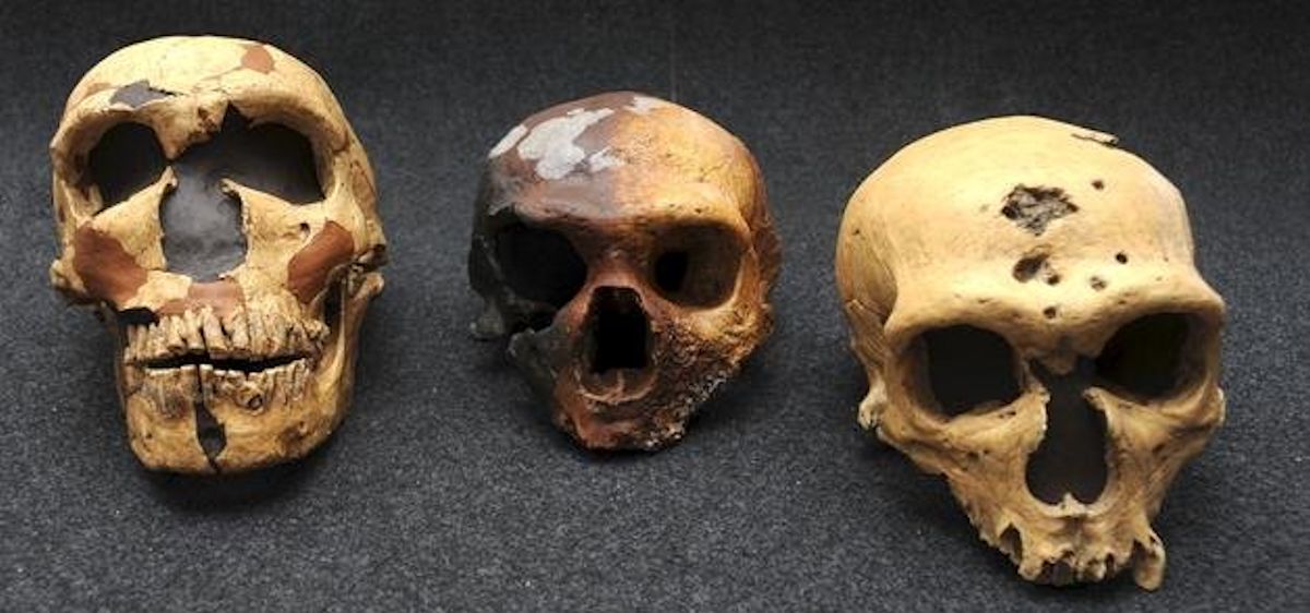 Siete días … 24 a 30 de junio (Homo sapiens y dinosaurios)