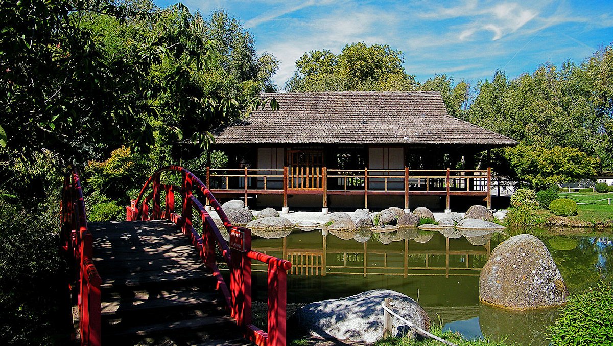 Mastica tú mismo la fruta