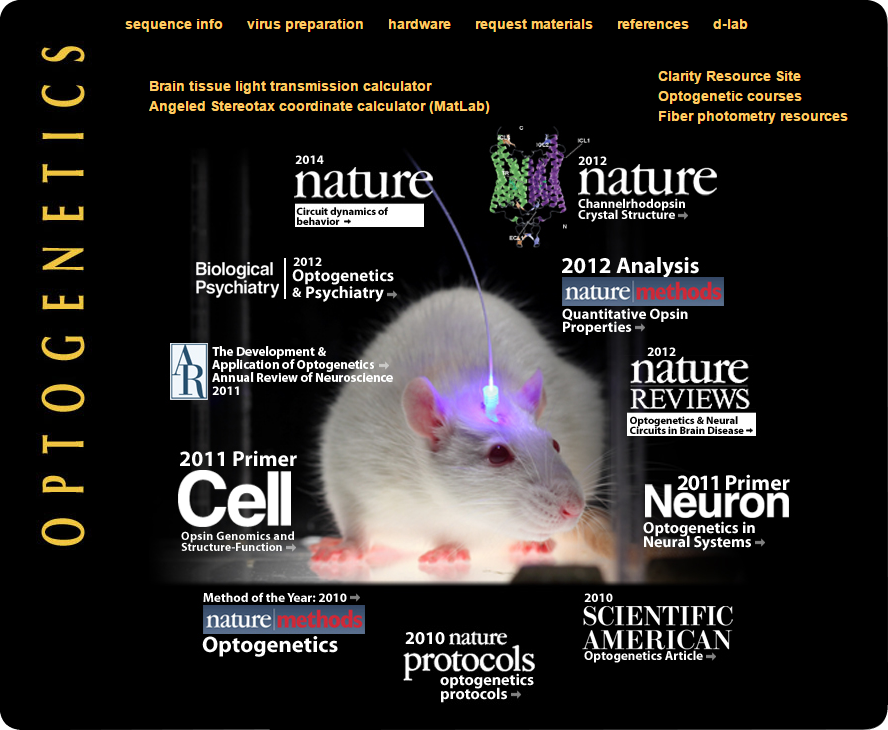 Optogenética: arrojando luz sobre la neurociencia