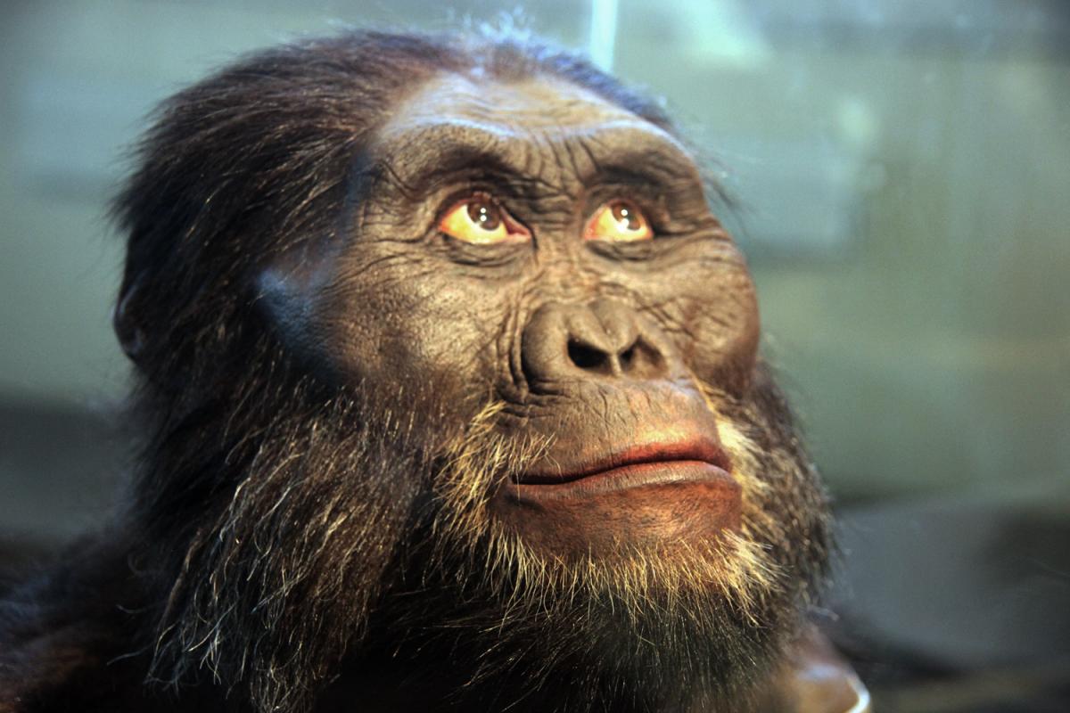 《猩球崛起3：终极之战》最后的人猿决战 - 哔哩哔哩