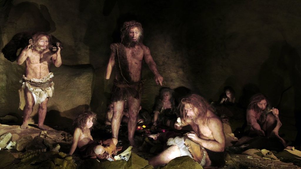 ¿Los Neandertales se extinguieron por falta de ropa de abrigo?