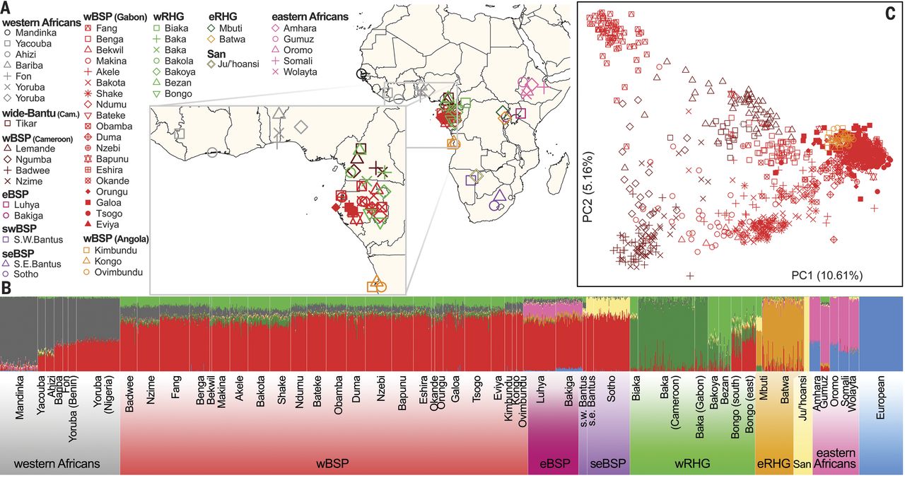 Siete días … 1 a 7 de mayo (Bantúes y PoS)