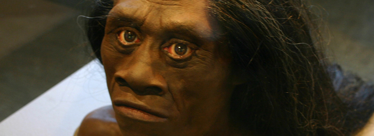 Investigando Homo floresiensis y el mito del «ebu gogo»